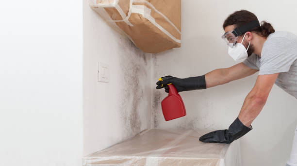 Professional Attic Mold Removal technician working in Clayton, NC