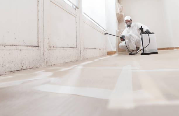 24/7 Emergency Attic Mold Removal experts in Clayton, NC