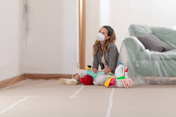 Trusted Basement Mold Remediation service in Clayton, NC - Cheap Mold Removal